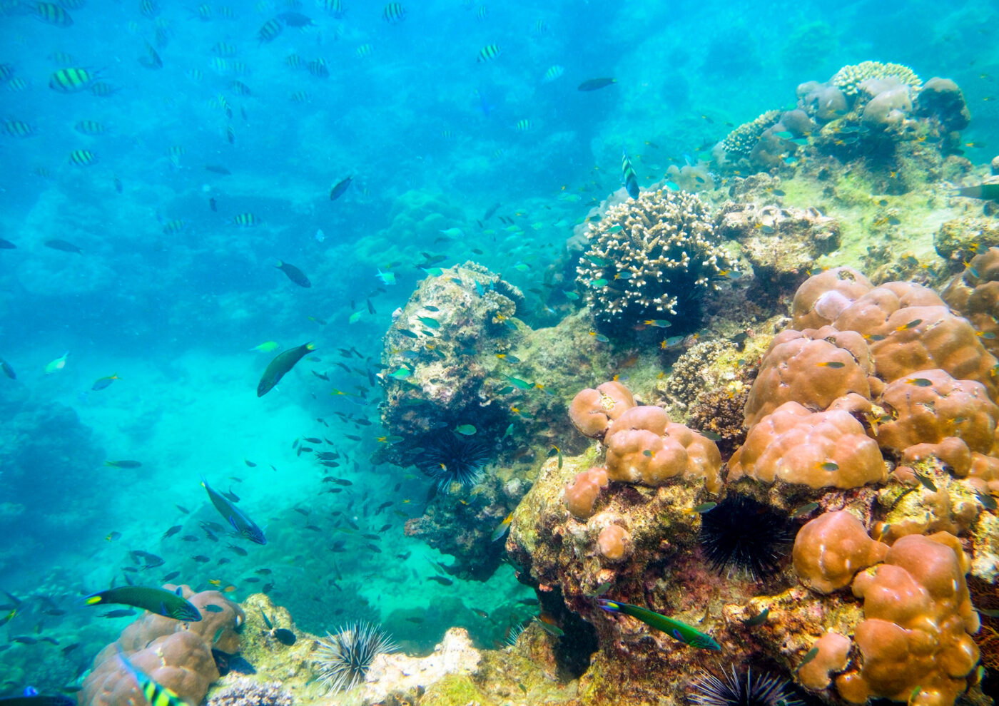 Private Boat Tour, Krabi tour packages, 4 Islands Tour Krabi, Hong Island tour Krabi, Phi Phi Island tour, Krabi private boat tour, Krabi snorkeling tour