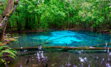 Private Boat Tour, Krabi tour packages, 4 Islands Tour Krabi, Hong Island tour Krabi, Phi Phi Island tour, Krabi private boat tour, Krabi snorkeling tour