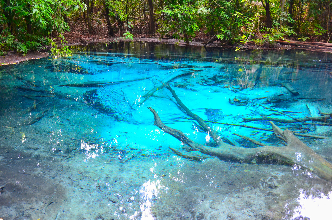 Private Boat Tour, Krabi tour packages, 4 Islands Tour Krabi, Hong Island tour Krabi, Phi Phi Island tour, Krabi private boat tour, Krabi snorkeling tour