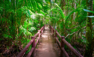 Private Boat Tour, Krabi tour packages, 4 Islands Tour Krabi, Hong Island tour Krabi, Phi Phi Island tour, Krabi private boat tour, Krabi snorkeling tour