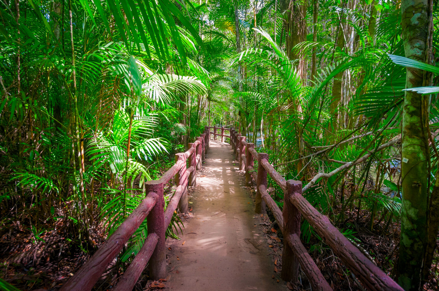 Private Boat Tour, Krabi tour packages, 4 Islands Tour Krabi, Hong Island tour Krabi, Phi Phi Island tour, Krabi private boat tour, Krabi snorkeling tour