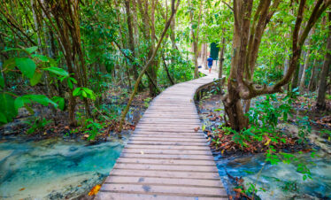 Private Boat Tour, Krabi tour packages, 4 Islands Tour Krabi, Hong Island tour Krabi, Phi Phi Island tour, Krabi private boat tour, Krabi snorkeling tour