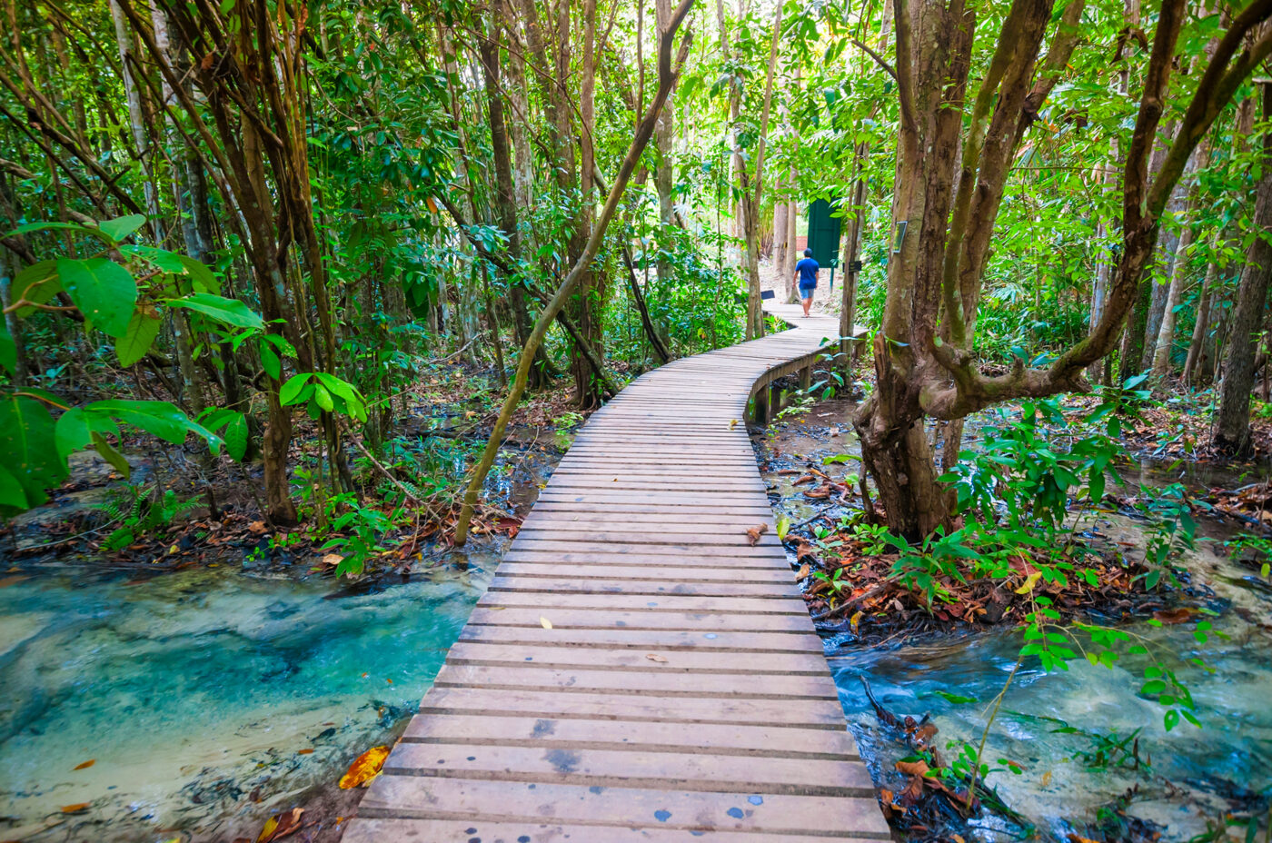 Private Boat Tour, Krabi tour packages, 4 Islands Tour Krabi, Hong Island tour Krabi, Phi Phi Island tour, Krabi private boat tour, Krabi snorkeling tour