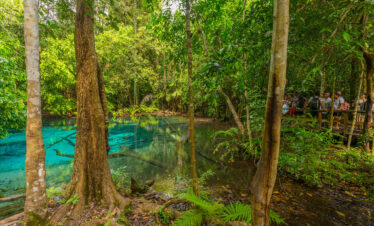 Private Boat Tour, Krabi tour packages, 4 Islands Tour Krabi, Hong Island tour Krabi, Phi Phi Island tour, Krabi private boat tour, Krabi snorkeling tour