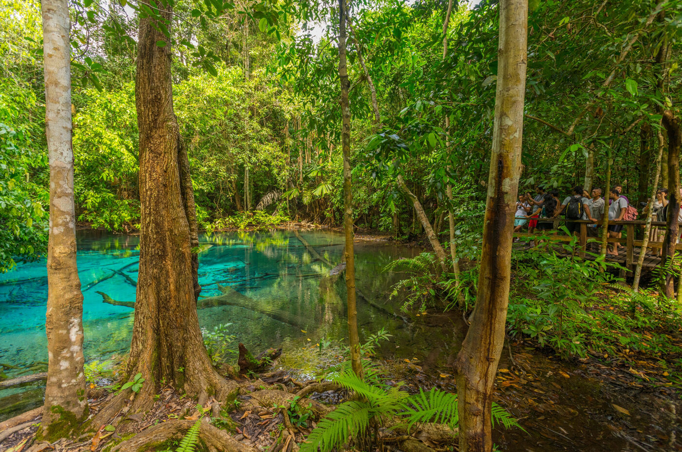 Private Boat Tour, Krabi tour packages, 4 Islands Tour Krabi, Hong Island tour Krabi, Phi Phi Island tour, Krabi private boat tour, Krabi snorkeling tour