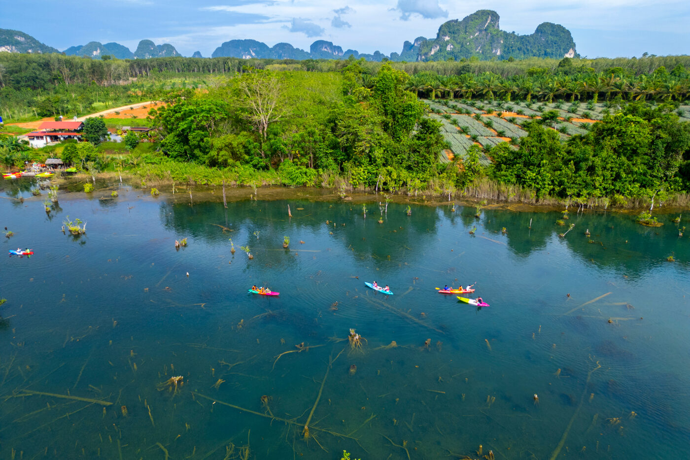 Private Boat Tour, Krabi tour packages, 4 Islands Tour Krabi, Hong Island tour Krabi, Phi Phi Island tour, Krabi private boat tour, Krabi snorkeling tour