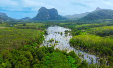 Private Boat Tour, Krabi tour packages, 4 Islands Tour Krabi, Hong Island tour Krabi, Phi Phi Island tour, Krabi private boat tour, Krabi snorkeling tour