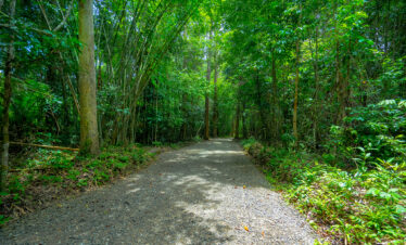 Private Boat Tour, Krabi tour packages, 4 Islands Tour Krabi, Hong Island tour Krabi, Phi Phi Island tour, Krabi private boat tour, Krabi snorkeling tour