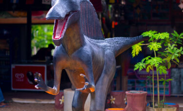 Private Boat Tour, Krabi tour packages, 4 Islands Tour Krabi, Hong Island tour Krabi, Phi Phi Island tour, Krabi private boat tour, Krabi snorkeling tour