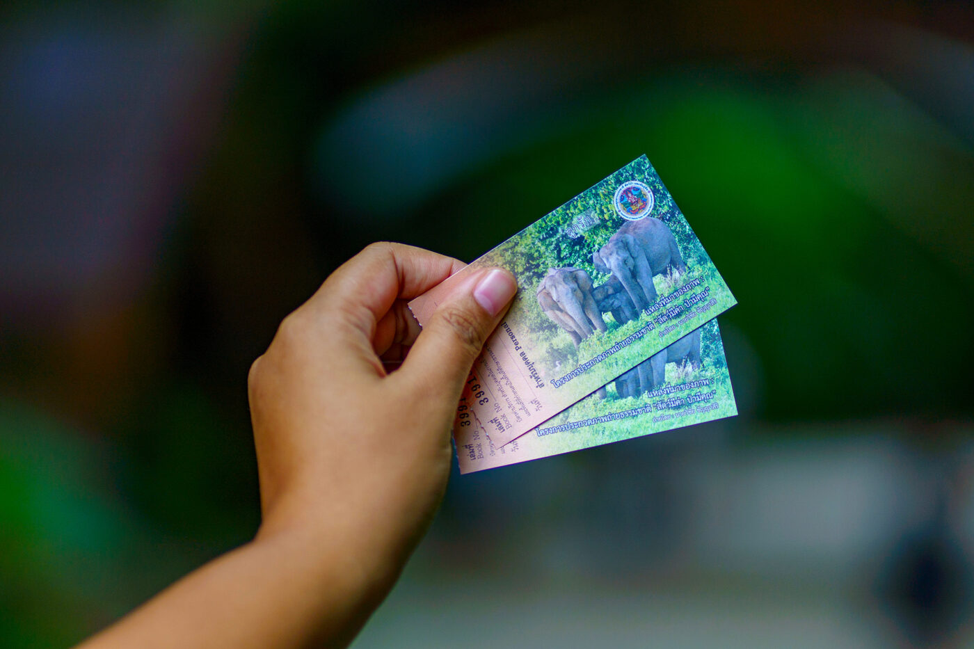 Private Boat Tour, Krabi tour packages, 4 Islands Tour Krabi, Hong Island tour Krabi, Phi Phi Island tour, Krabi private boat tour, Krabi snorkeling tour