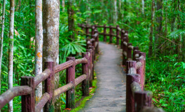 Private Boat Tour, Krabi tour packages, 4 Islands Tour Krabi, Hong Island tour Krabi, Phi Phi Island tour, Krabi private boat tour, Krabi snorkeling tour