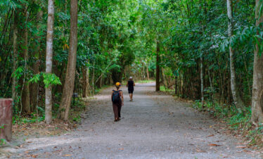 Private Boat Tour, Krabi tour packages, 4 Islands Tour Krabi, Hong Island tour Krabi, Phi Phi Island tour, Krabi private boat tour, Krabi snorkeling tour