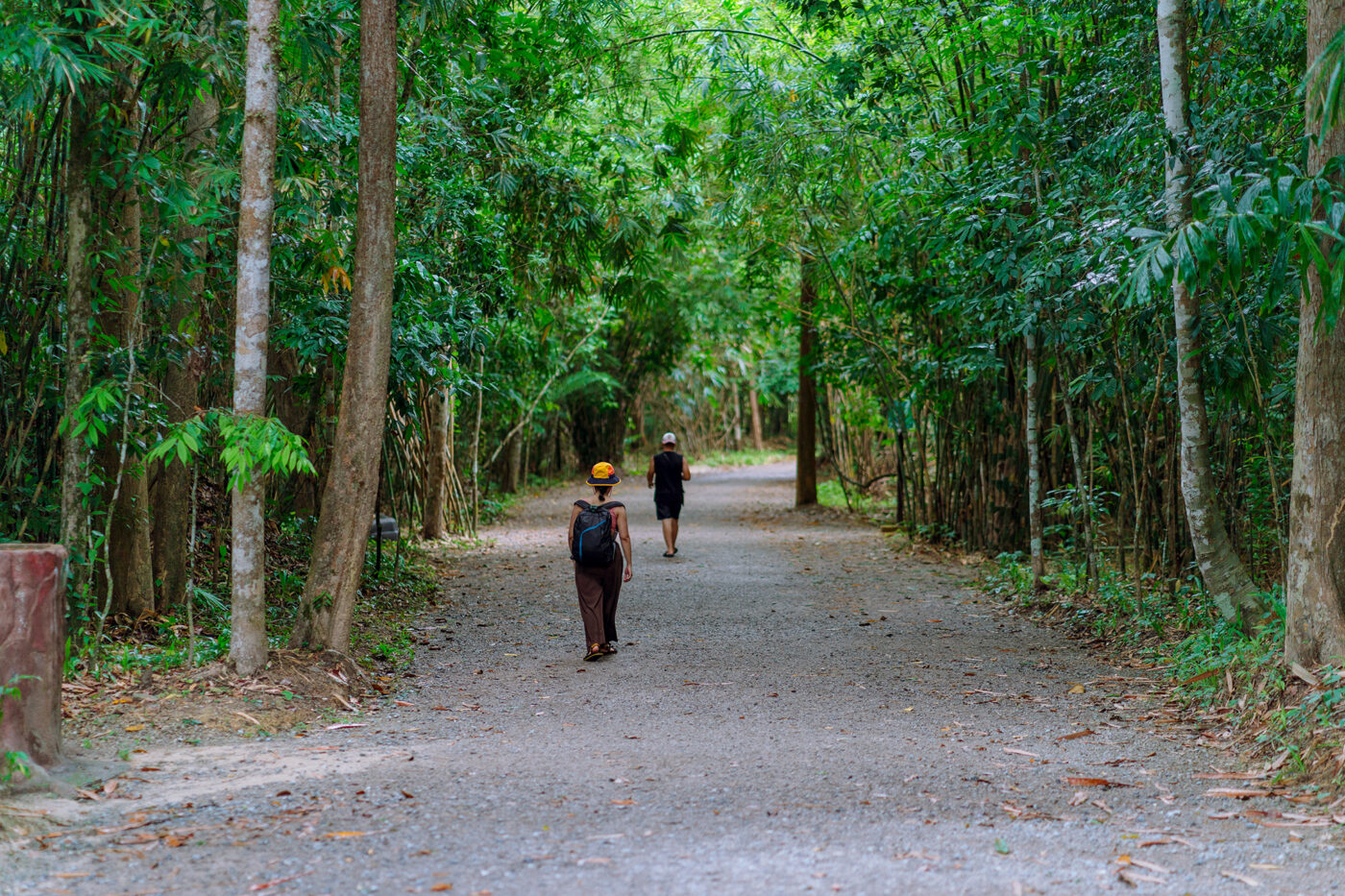 Private Boat Tour, Krabi tour packages, 4 Islands Tour Krabi, Hong Island tour Krabi, Phi Phi Island tour, Krabi private boat tour, Krabi snorkeling tour