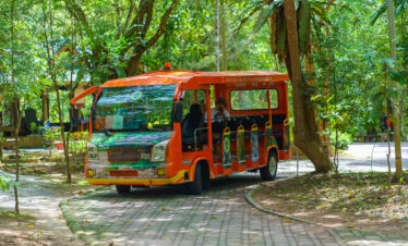 Private Boat Tour, Krabi tour packages, 4 Islands Tour Krabi, Hong Island tour Krabi, Phi Phi Island tour, Krabi private boat tour, Krabi snorkeling tour