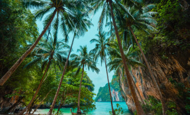 Private Boat Tour, Krabi tour packages, 4 Islands Tour Krabi, Hong Island tour Krabi, Phi Phi Island tour, Krabi private boat tour, Krabi snorkeling tour