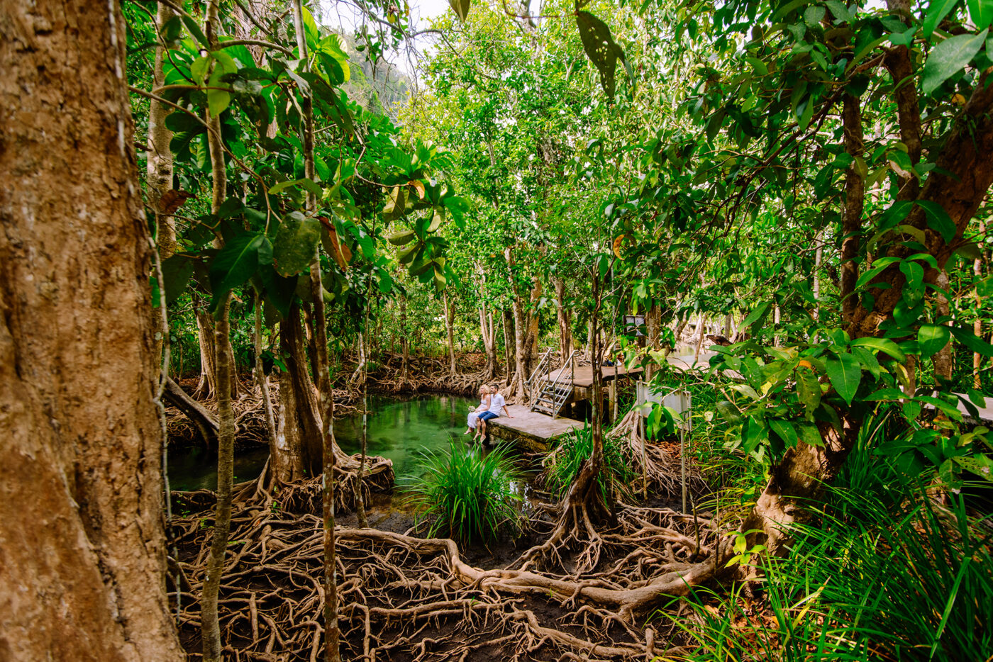 Private Boat Tour, Krabi tour packages, 4 Islands Tour Krabi, Hong Island tour Krabi, Phi Phi Island tour, Krabi private boat tour, Krabi snorkeling tour